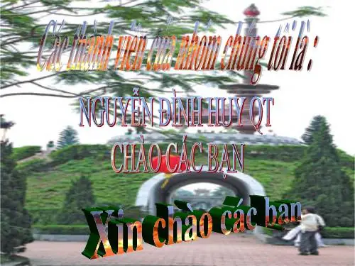 Thành Cổ Quảng Trị: Cẩm Nang Tham Quan & Lịch Sử Toàn Tập
