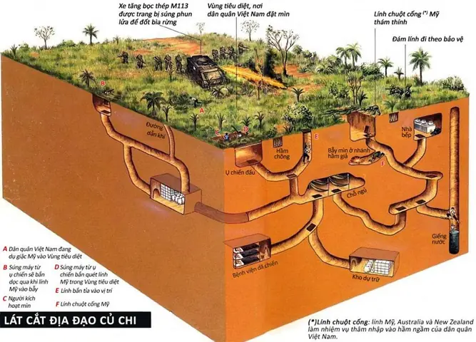 Địa Đạo Củ Chi: Khám Phá Khu Di Tích Lịch Sử Và Chiến Khu Rừng Sác