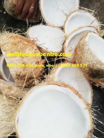Mứt Dừa Non Bến Tre: Cẩm Nang Toàn Diện Về Đặc Sản Ngon Nhất Miền Tây