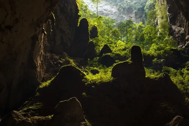 Cẩm Nang Khám Phá Hang Sơn Đoòng: Điều Cần Biết Trước Chuyến Đi Đến Hang Động Lớn Nhất Thế Giới