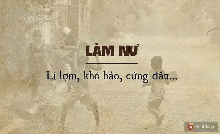 Giọng Miền Tây Như Thế Nào? Đặc Điểm Ngôn Ngữ Đậm Chất Nông Thôn Nam Bộ