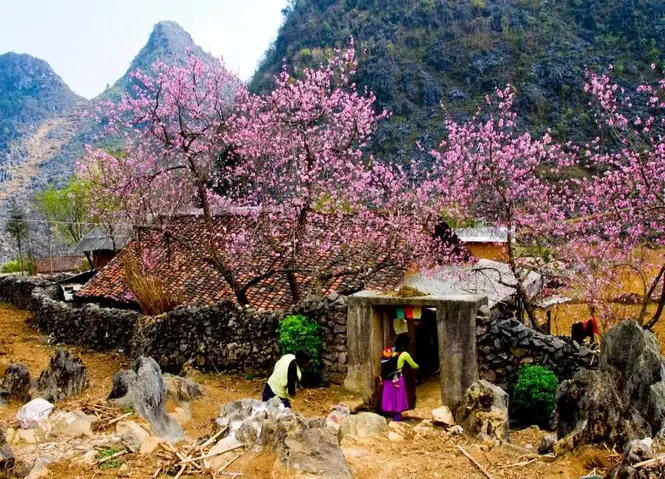 Khám Phá Thời Điểm Du Lịch Hà Giang Đẹp Nhất Theo Tháng