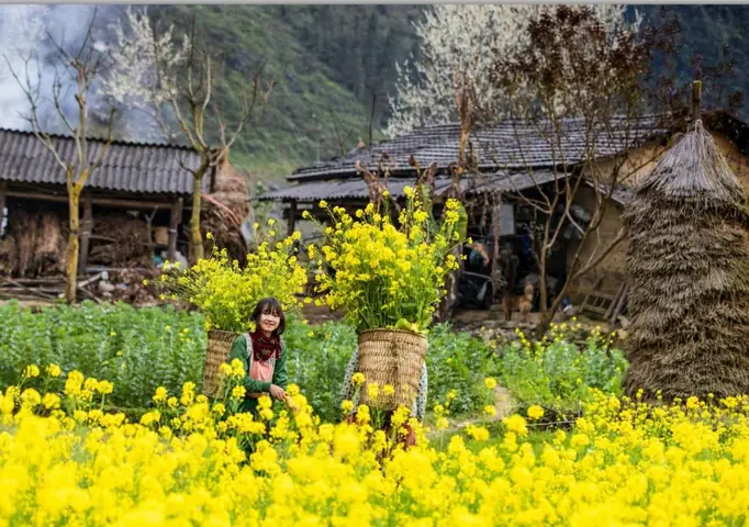 Khám Phá Thời Điểm Du Lịch Hà Giang Đẹp Nhất Theo Tháng