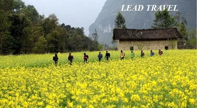 Khám Phá Tháng Đẹp Nhất Để Du Lịch Hà Giang – Hướng Dẫn Khám Phá Tháng Đẹp Nhất Để Du Lịch Hà Giang – Hướng Dẫn