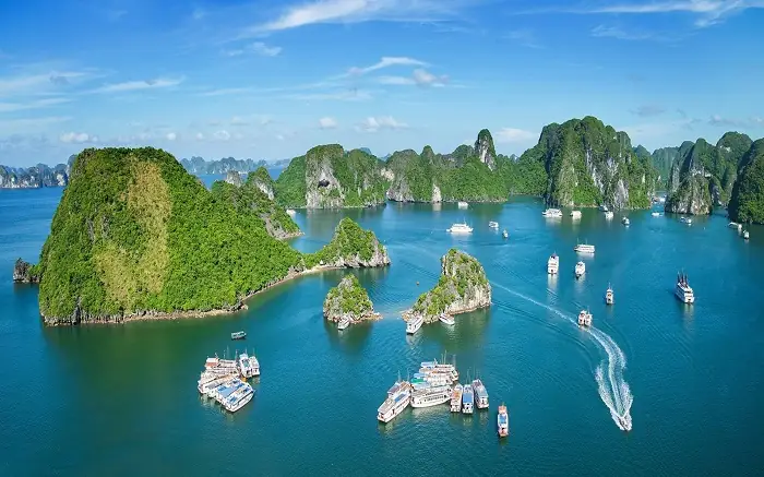 Vịnh Hạ Long Nổi Tiếng Về Điều Gì? 10 Yếu Tố Tạo Nên Di Sản Kỳ Vĩ Vịnh Hạ Long Nổi Tiếng Về Điều Gì? 10 Yếu Tố Tạo Nên Di Sản Kỳ Vĩ