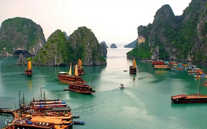 Cẩm Nang Chi Tiết: Từ Hà Nội Đi Vịnh Hạ Long Trong Một Ngày