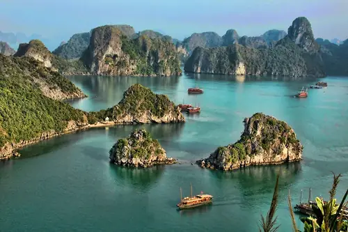 Cẩm Nang Chi Tiết: Từ Hà Nội Đi Vịnh Hạ Long Trong Một Ngày