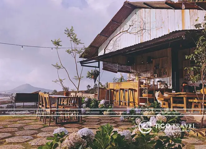 Review Homestay Hai Ả Đà Lạt: View Đẹp Nhưng Đã Đóng Cửa