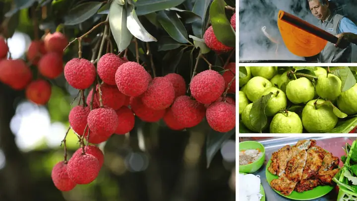 Khám Phá Đặc Sản Hải Dương: 12 Món Ngon Không Thể Bỏ Lỡ