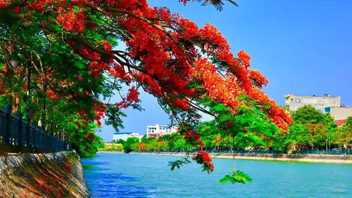 Hải Phòng Có Gì Chơi: Top Địa Điểm Hấp Dẫn