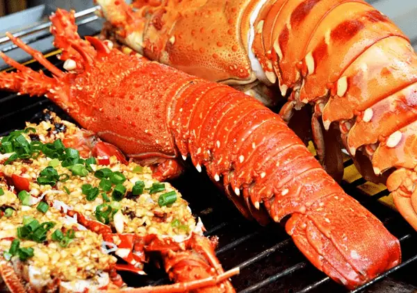 Khám Phá Top 10 Quán Ăn Bãi Dài Cam Ranh Cho Tín Đồ Hải Sản Khám Phá Top 10 Quán Ăn Bãi Dài Cam Ranh Cho Tín Đồ Hải Sản