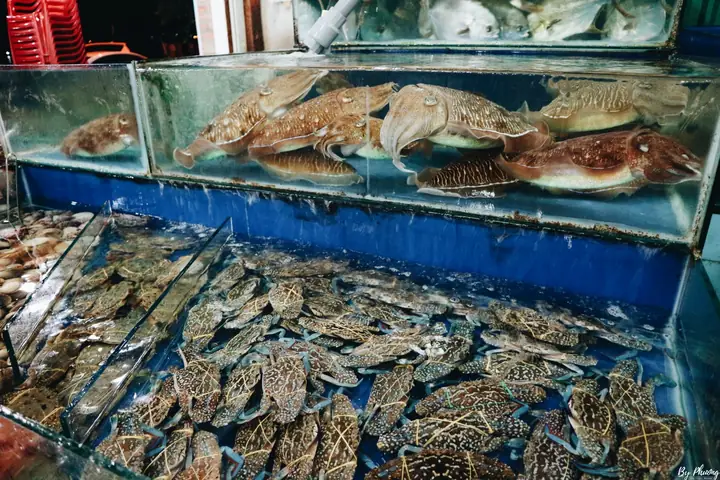 Hải Sản Bến Cảng Nha Trang: Đặc Trưng, Lựa Chọn Và Trải Nghiệm 2026