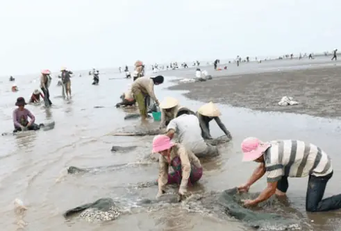Top 5 Địa Điểm Hải Sản Ngon Nhất Ở Bình Đại Bến Tre