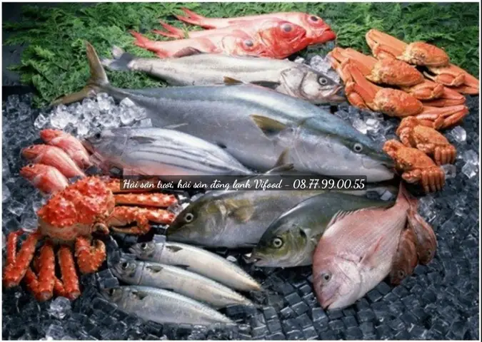Top 5 Địa Điểm Hải Sản Ngon Nhất Ở Bình Đại Bến Tre