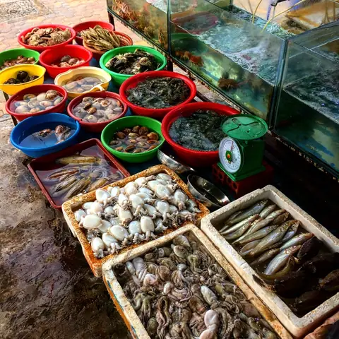 Hải Sản Phan Thiết Ngon Rẻ – Địa Chỉ Và Mẹo Mua Thông Minh Hải Sản Phan Thiết Ngon Rẻ – Địa Chỉ Và Mẹo Mua Thông Minh