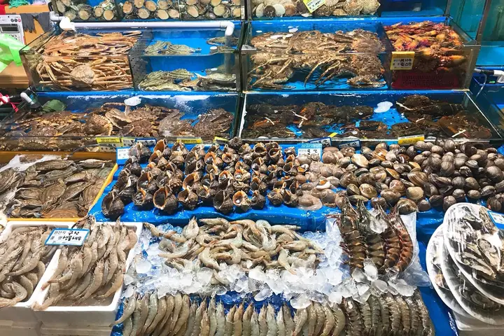 Khám Phá Chợ Hải Sản Đà Nẵng: Nơi Mua Hải Sản Tươi Ngon Khám Phá Chợ Hải Sản Đà Nẵng: Nơi Mua Hải Sản Tươi Ngon