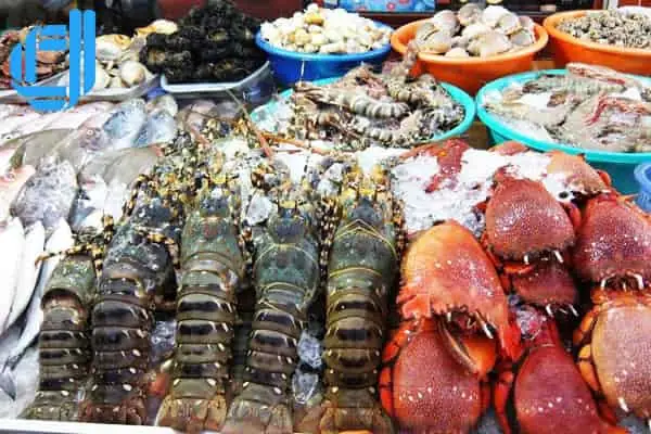 Khám Phá Chợ Hải Sản Đà Nẵng: Nơi Mua Hải Sản Tươi Ngon Khám Phá Chợ Hải Sản Đà Nẵng: Nơi Mua Hải Sản Tươi Ngon