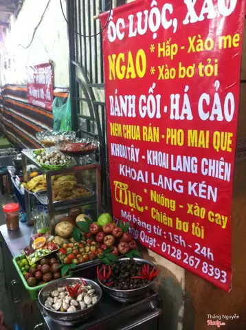 Top 5 Hàng Ốc Ngon Hà Nội: Đánh Giá Chi Tiết Từ Đồng Hành Cùng Du Khách