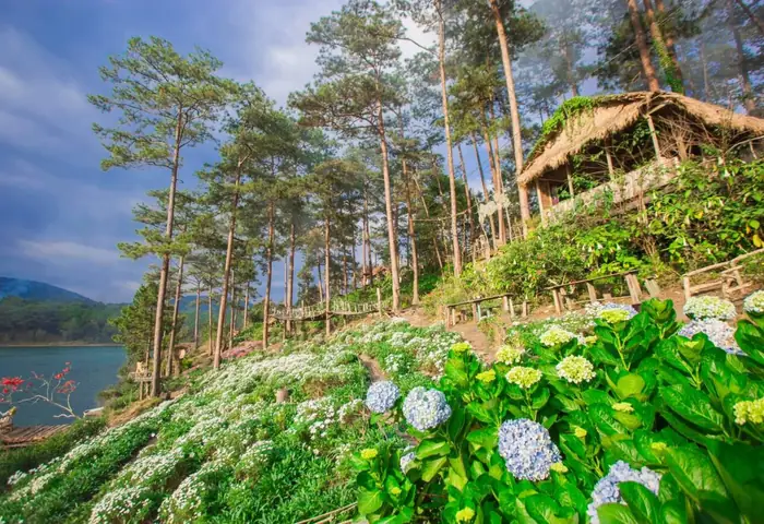 Happy Hill Đà Lạt Địa Chỉ – Hướng Dẫn Chi Tiết Đến Điểm Thăm Duyệt Đầy Màu Sắc