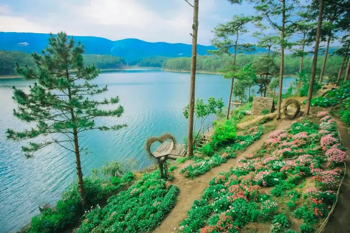 Happy Hill Đà Lạt Địa Chỉ – Hướng Dẫn Chi Tiết Đến Điểm Thăm Duyệt Đầy Màu Sắc