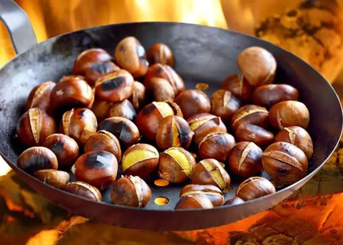 Khám Phá Hạt Dẻ Trùng Khánh: Lợi Ích Sức Khỏe Và Mua Ngon Khám Phá Hạt Dẻ Trùng Khánh: Lợi Ích Sức Khỏe Và Mua Ngon