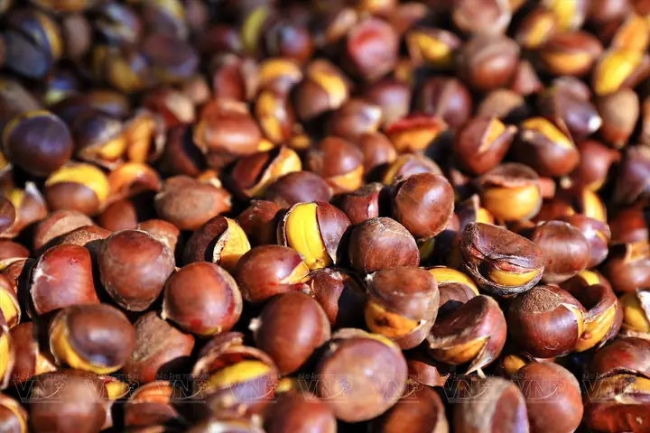 Top 5 Địa Điểm Mua Hạt Dẻ Đặc Sản Trùng Khánh Uy Tín Nhất