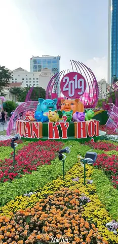 Cẩm Nang Tham Quan Đường Hoa Nguyễn Huệ Tết Cẩm Nang Tham Quan Đường Hoa Nguyễn Huệ Tết