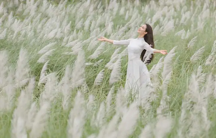 Khám Phá Ý Nghĩa Và Cách Cắm Hoa Cỏ Lau Cho Không Gian Sống Khám Phá Ý Nghĩa Và Cách Cắm Hoa Cỏ Lau Cho Không Gian Sống