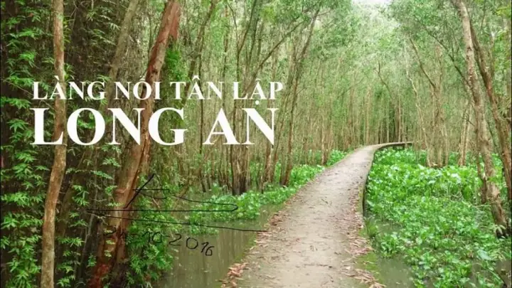 Khám Phá Làng Nổi Tân Lập: Hướng Dẫn Du Lịch Chi Tiết