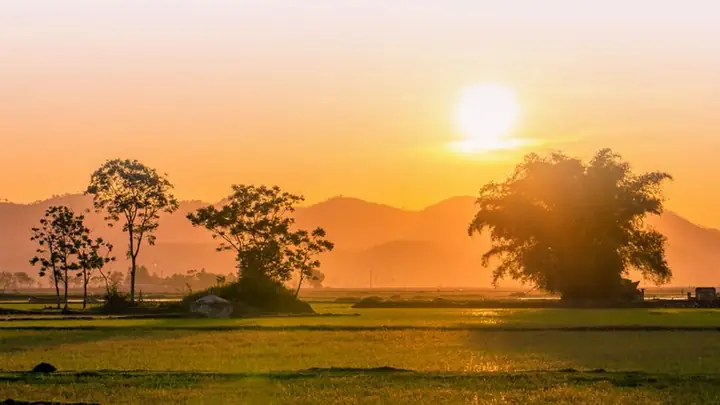 Hình Ảnh Làng Quê Yên Bình: Phiên Bản Đẹp Nhất Của Sự Tĩnh Lặng