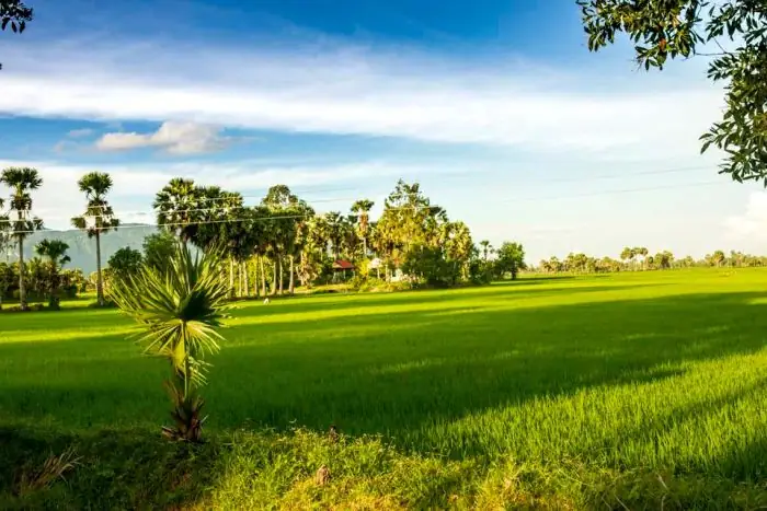 Hình Ảnh Làng Quê Yên Bình: Phiên Bản Đẹp Nhất Của Sự Tĩnh Lặng