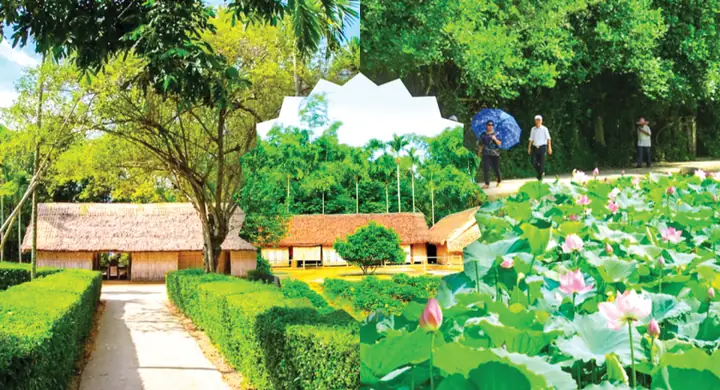 Khám Phá Làng Sen Quê Bác – Di Tích Lịch Sử Và Du Lịch