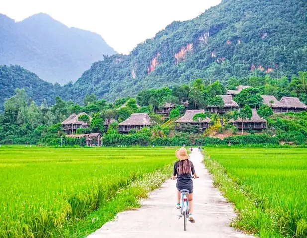 Mai Châu Hòa Bình: Điểm Đến Lý Tưởng Cho Du Khách Yêu Thiên Nhiên