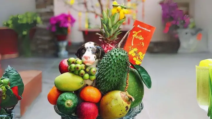 Mâm Ngũ Quả Ngày Tết: Tổng Hợp 22 Ý Nghĩa & Cách Bài Trí Chuẩn Truyền Thống
