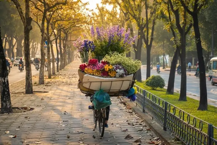 Khám Phá 20 Góc Chụp Hình Ảnh Mùa Thu Hà Nội Tuyệt Đẹp