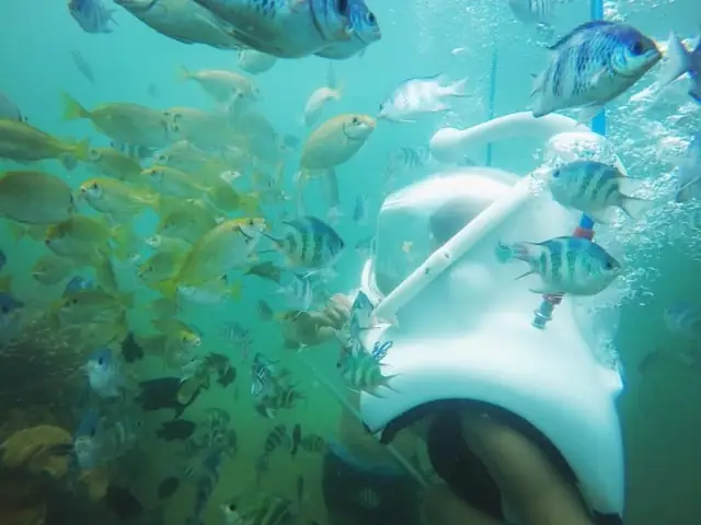 Cẩm Nang Lặn Biển Nha Trang: Khám Phá Thế Giới San Hô Đa Sắc