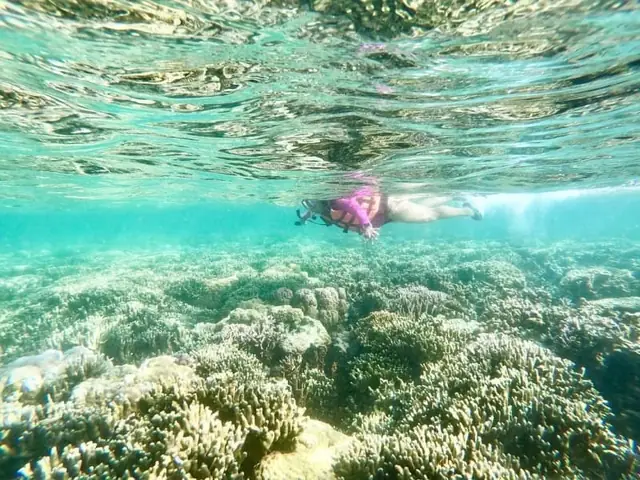 Cẩm Nang Lặn Biển Nha Trang: Khám Phá Thế Giới San Hô Đa Sắc Cẩm Nang Lặn Biển Nha Trang: Khám Phá Thế Giới San Hô Đa Sắc