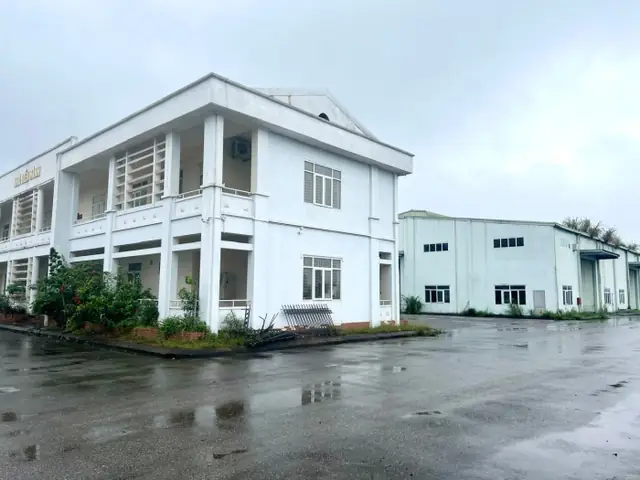 Cẩm Nang Du Lịch Tuyên Quang: Khám Phá Vẻ Đẹp Tây Bắc Đầy Bản Sắc