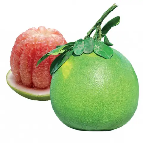 Hình Ảnh Trái Cây Miền Tây: Bức Tranh Sống Động Về Thiên Nhiên Và Văn Hóa Hình Ảnh Trái Cây Miền Tây: Bức Tranh Sống Động Về Thiên Nhiên Và Văn Hóa