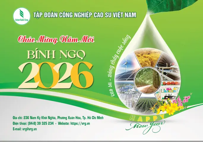 Hình Ảnh Văn Hóa Nhật Bản: Cẩm Nang Khám Phá Biểu Tượng Đất Nước Mặt Trời Mọc