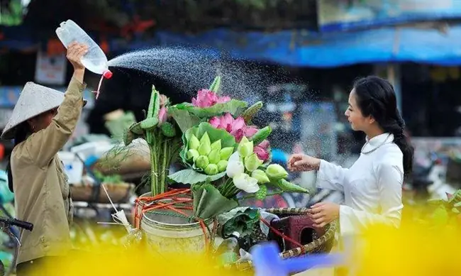 Khám Phá Văn Hoá Việt Nam Qua Hình Ảnh Và Nét Truyền Thống