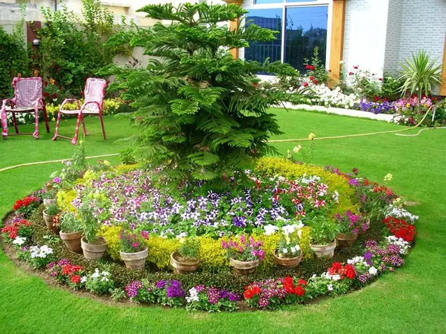 Khám Phá Vườn Hoa Đẹp Nhất Thế Giới: Cẩm Nang Điểm Đến Và Kinh Nghiệm Thực Tế
