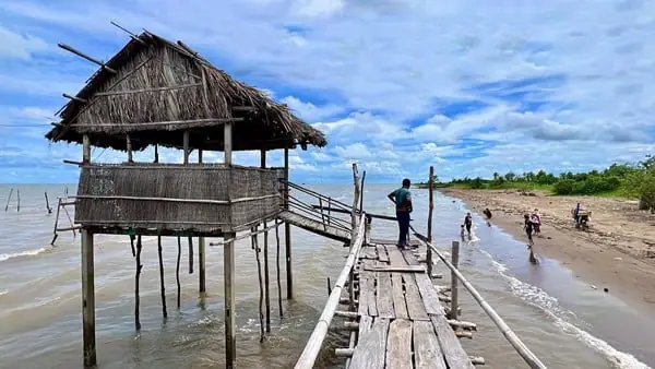 Khám Phá Khu Du Lịch Sinh Thái Hồ Bể – Hướng Dẫn Du Khách