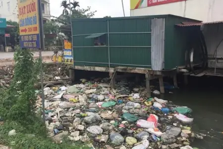 Bảo Tồn Hồ Bồng Lai: Tổng Quan, Thách Thức & Giải Pháp