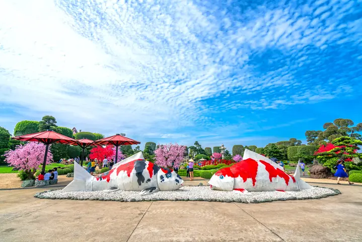 Đánh Giá 3 Đơn Vị Thi Công Hồ Cá Koi Uy Tín Tại Trần Văn Mười Đánh Giá 3 Đơn Vị Thi Công Hồ Cá Koi Uy Tín Tại Trần Văn Mười