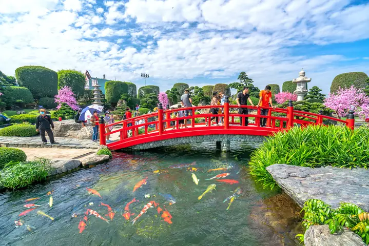 Đánh Giá 3 Đơn Vị Thi Công Hồ Cá Koi Uy Tín Tại Trần Văn Mười Đánh Giá 3 Đơn Vị Thi Công Hồ Cá Koi Uy Tín Tại Trần Văn Mười