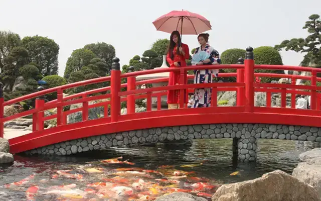 Đánh Giá 3 Đơn Vị Thi Công Hồ Cá Koi Uy Tín Tại Trần Văn Mười Đánh Giá 3 Đơn Vị Thi Công Hồ Cá Koi Uy Tín Tại Trần Văn Mười