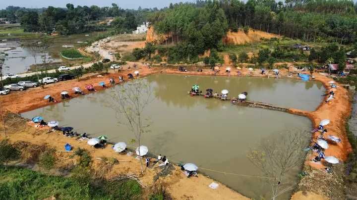 Khám Phá 10 Địa Điểm Câu Cá Hấp Dẫn Nhất Ở Sài Gòn
