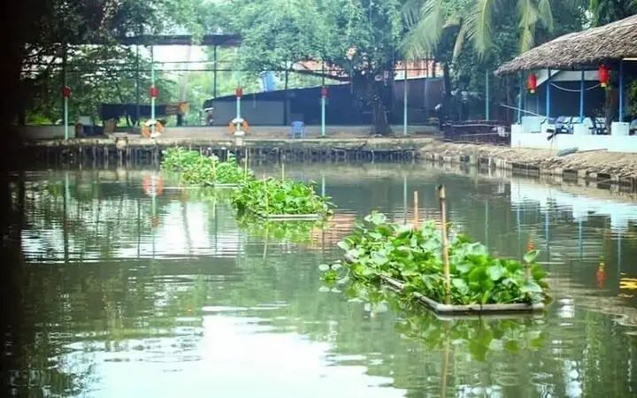 Địa Điểm Câu Cá Nổi Bật Ở Sài Gòn Cho Người Mới Địa Điểm Câu Cá Nổi Bật Ở Sài Gòn Cho Người Mới