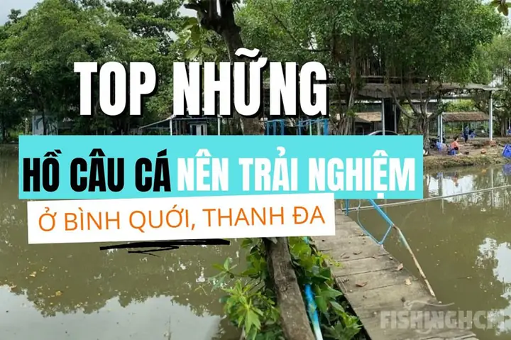Hồ Câu Cá Lóc Thanh Đa: Địa Điểm Và Kinh Nghiệm Câu Cá Chi Tiết Hồ Câu Cá Lóc Thanh Đa: Địa Điểm Và Kinh Nghiệm Câu Cá Chi Tiết